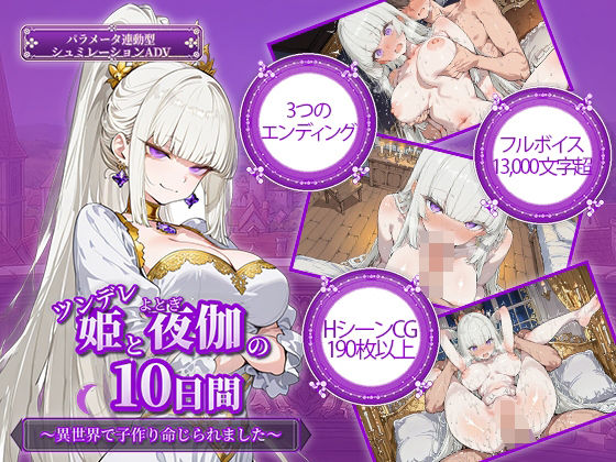 【電脳ヒロインズ】ツンデレ姫と夜伽の10日間 〜異世界で子作り命じられました〜｜ファンタジー