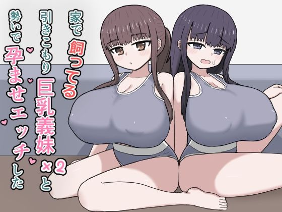 【にしかわ屋】家で飼ってる引きこもり巨乳義妹×2と勢いで孕ませエッチした｜デモ・体験版あり
